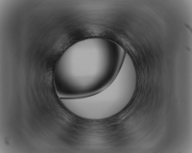 X0000091890509200709051047