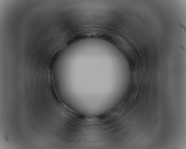 X0000091890510200709051047