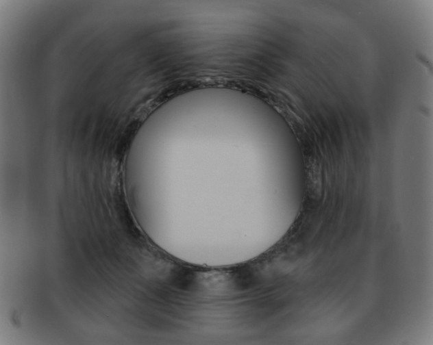 X0000091890511200709051047