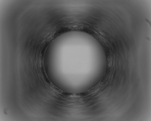 X0000091890515200709051047
