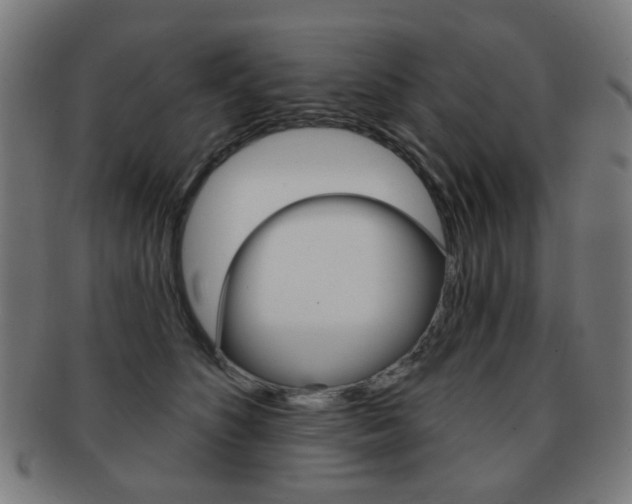 X0000091890516200709051047