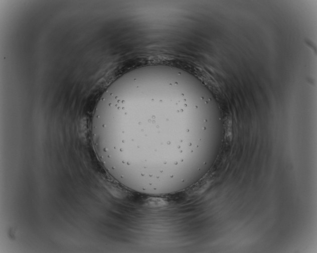 X0000091890519200709051047