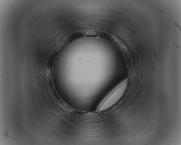 X0000091890521200709051047