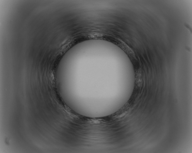 X0000091890523200709051047
