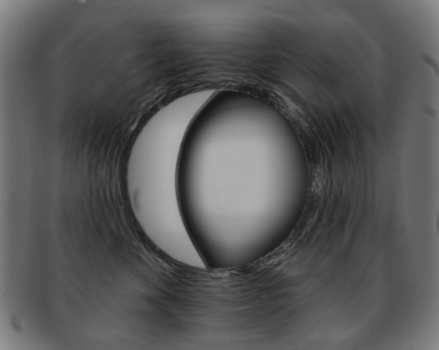 X0000091890524200709051047
