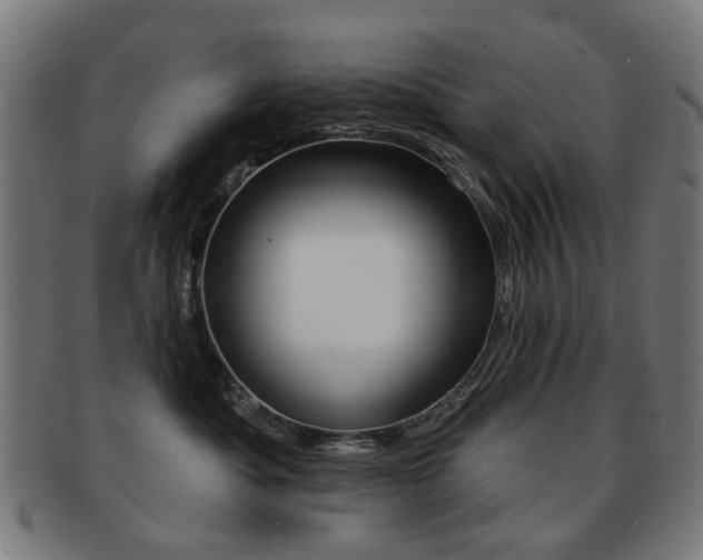 X0000091890525200709051047