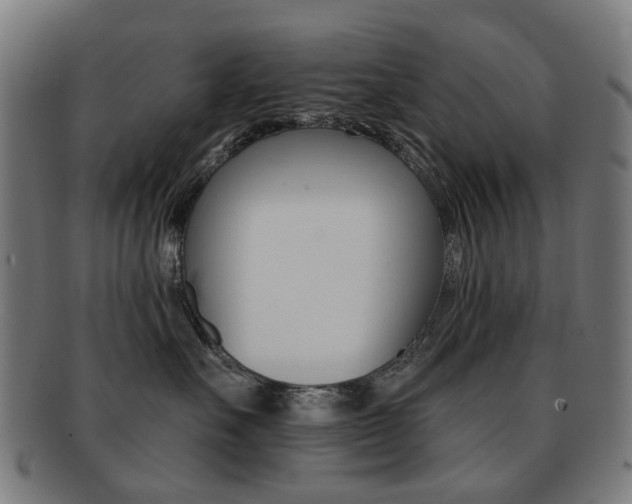 X0000091890527200709051047