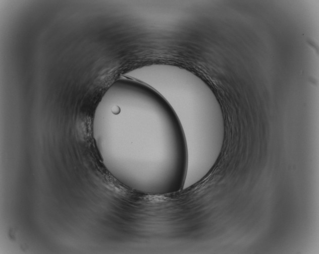 X0000091890528200709051047
