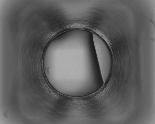 X0000091890529200709051046