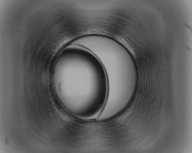 X0000091890530200709051046