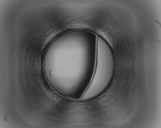 X0000091890531200709051046