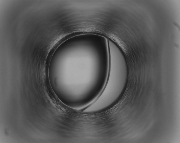 X0000091890532200709051046