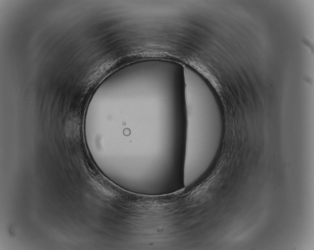 X0000091890533200709051046