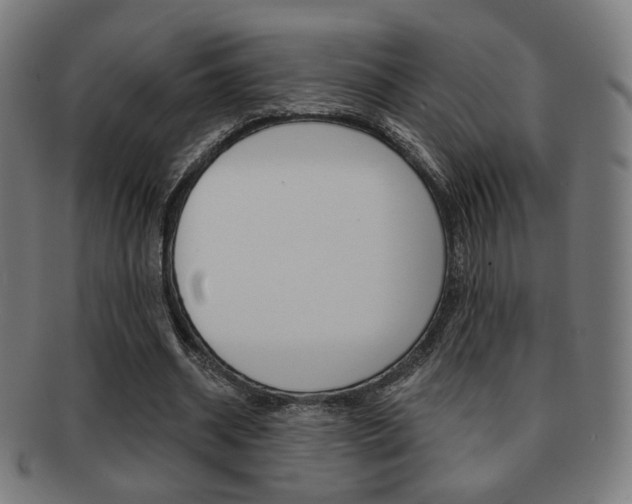 X0000091890534200709051046