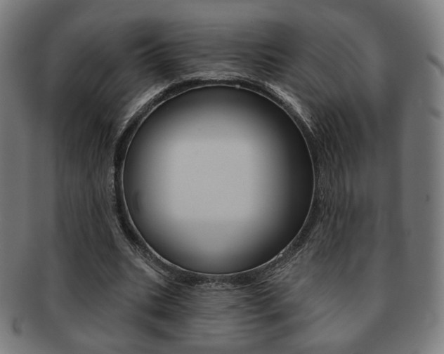 X0000091890535200709051046