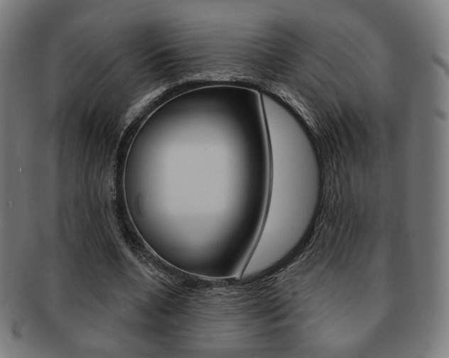 X0000091890536200709051046