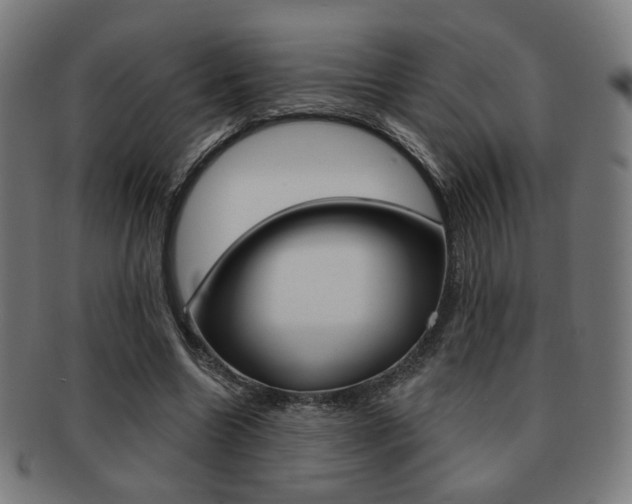 X0000091890538200709051046