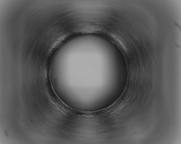 X0000091890539200709051046