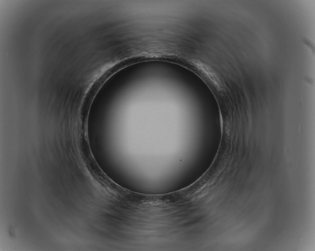 X0000091890540200709051046
