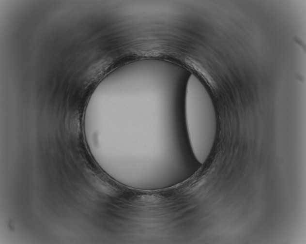 X0000091890541200709051046