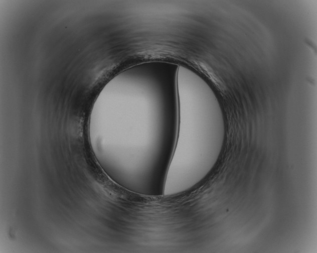 X0000091890543200709051046