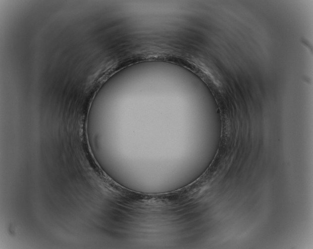 X0000091890545200709051046