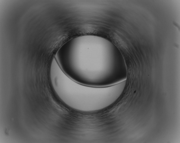 X0000091890546200709051046