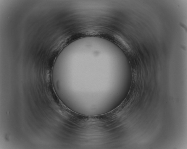 X0000091890549200709051046