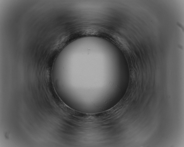 X0000091890551200709051046