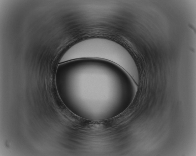 X0000091890552200709051046
