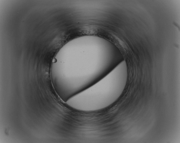 X0000091890553200709051046