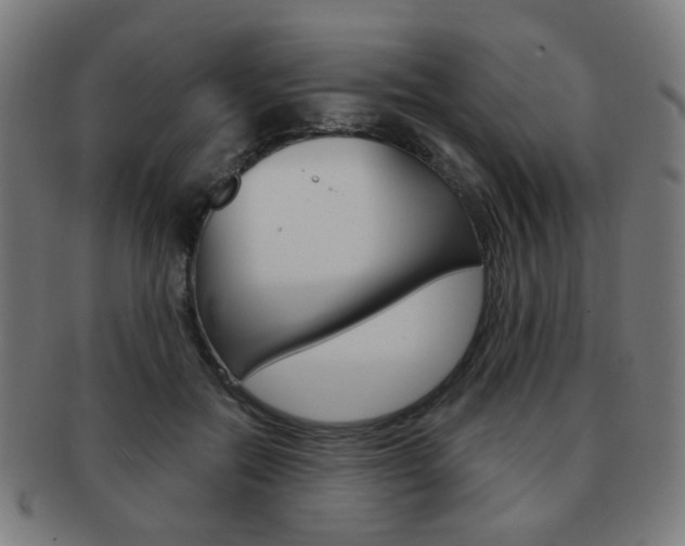 X0000091890554200709051046