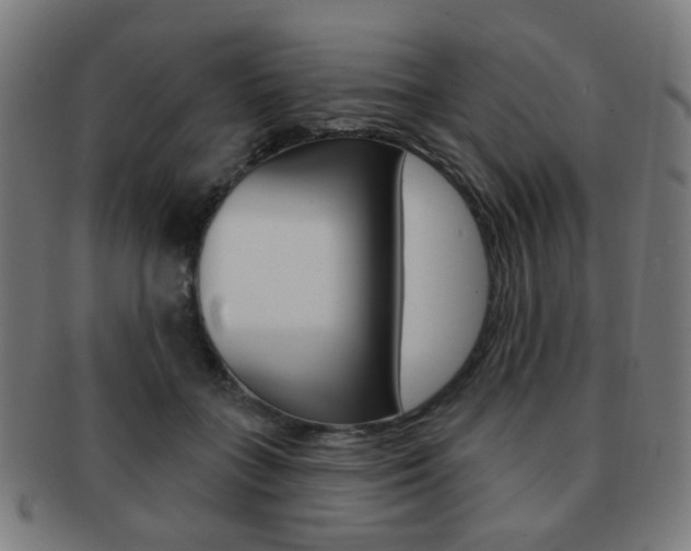 X0000091890555200709051046