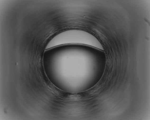 X0000091890556200709051046