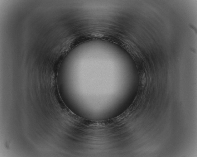 X0000091890559200709051046