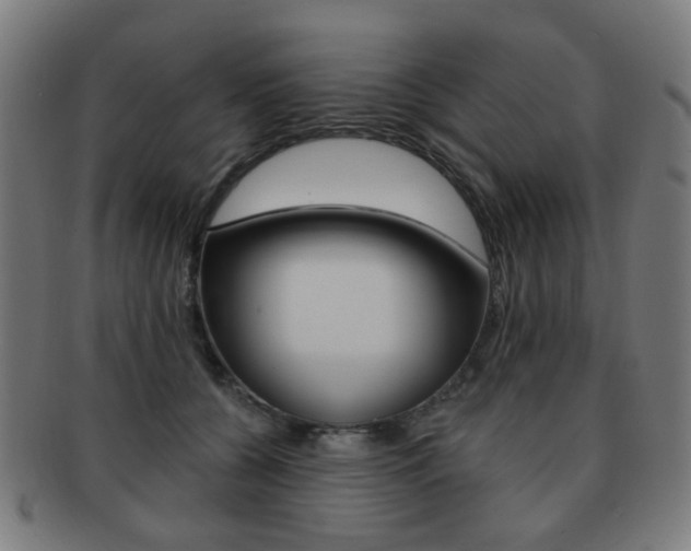 X0000091890560200709051046