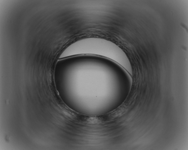 X0000091890562200709051046