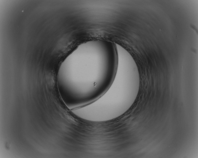 X0000091890566200709051046