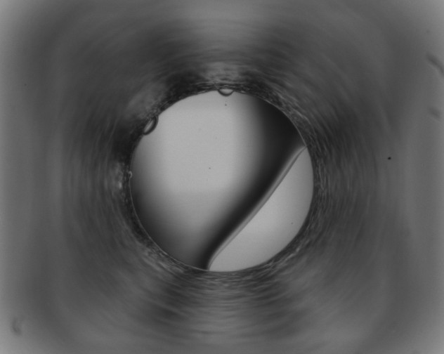 X0000091890567200709051046