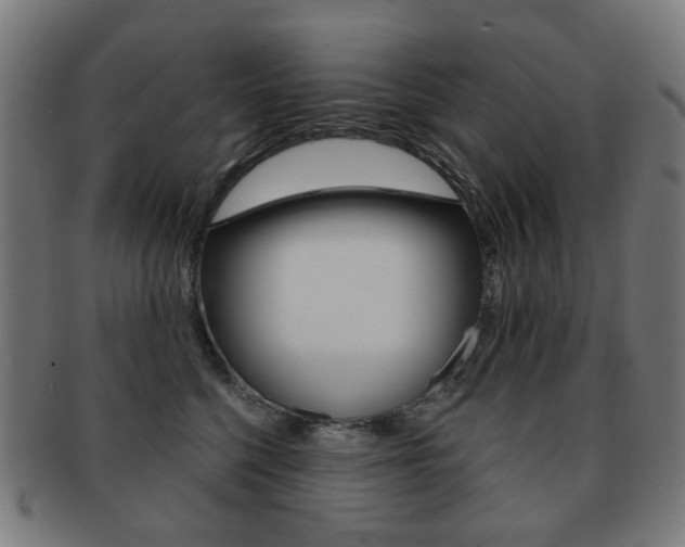 X0000091890568200709051047