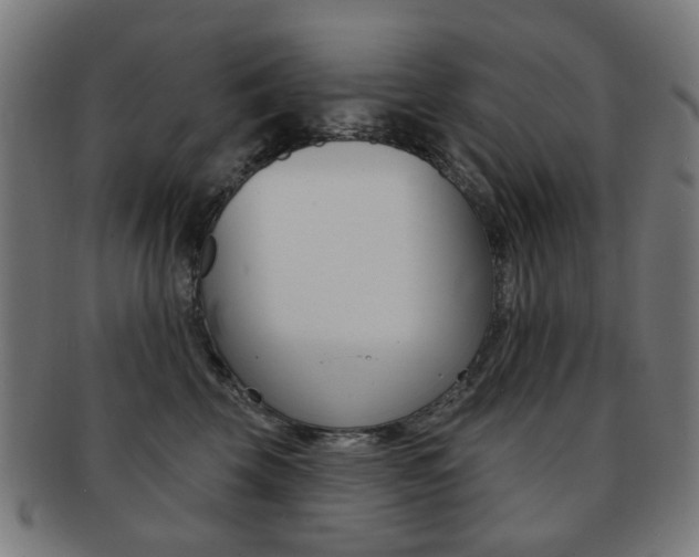 X0000091890569200709051047