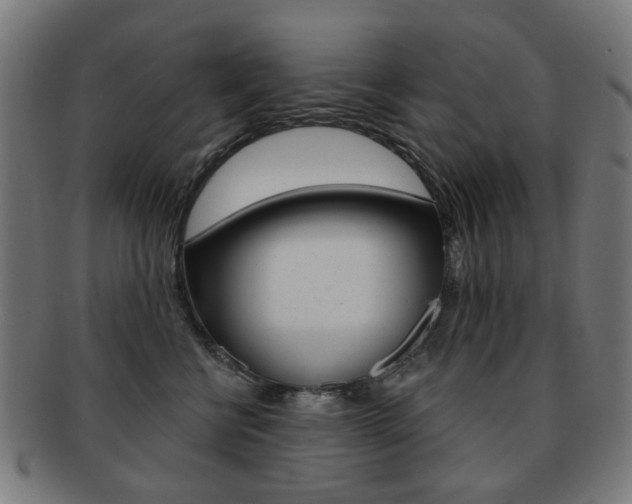 X0000091890570200709051047