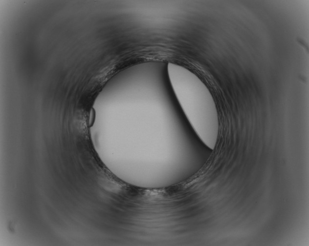 X0000091890573200709051047