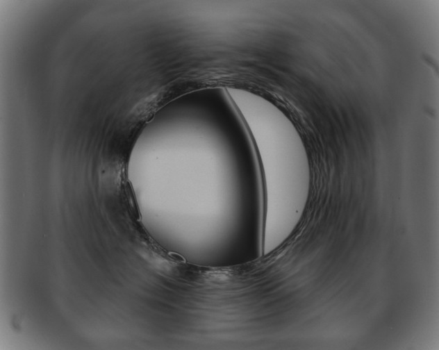 X0000091890574200709051047