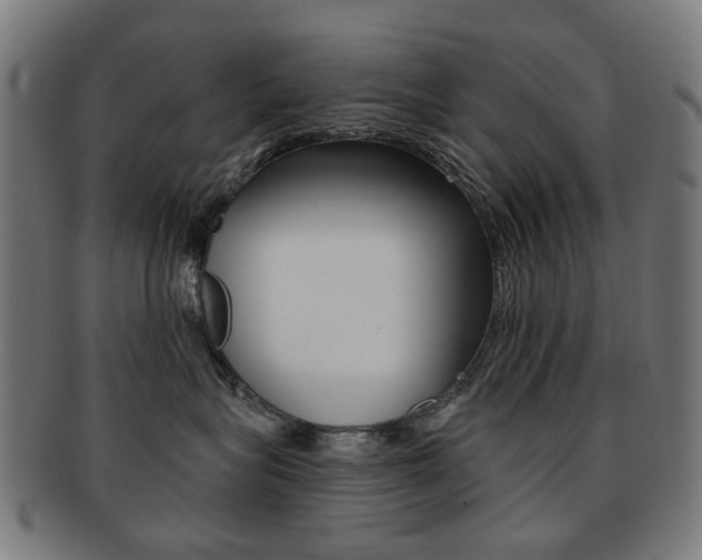 X0000091890575200709051047