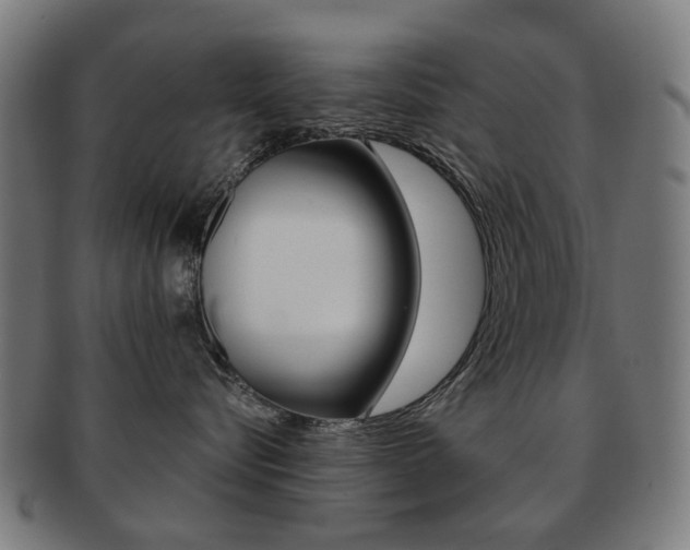 X0000091890576200709051047
