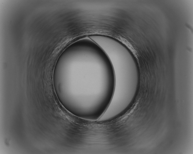 X0000091890577200709051046