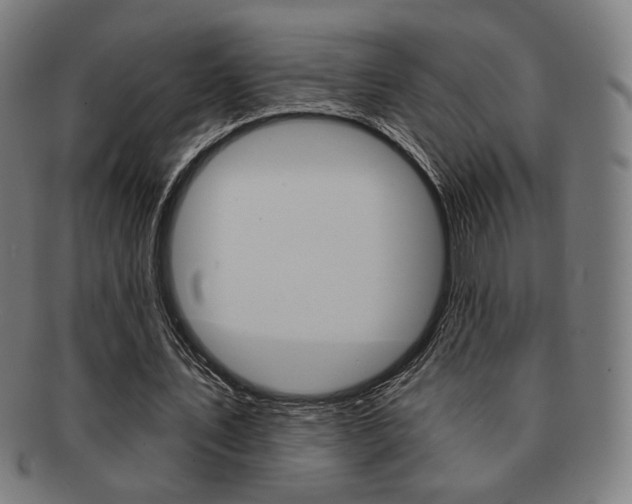 X0000091890579200709051046