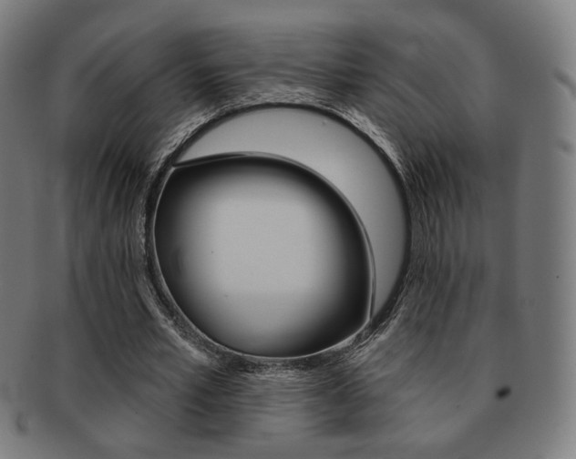 X0000091890581200709051046