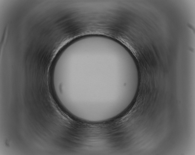 X0000091890584200709051046